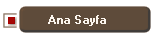 Ana Sayfa