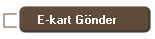E-kart Gnder
